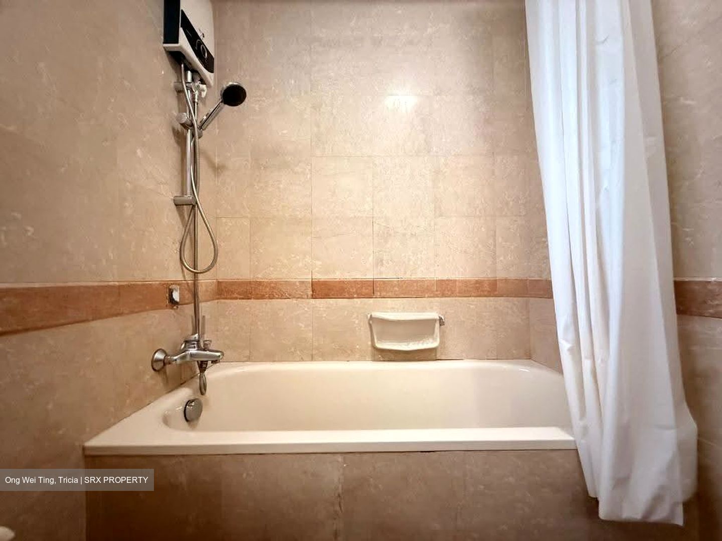 Tanglin Regency (D10), Condominium #613532001